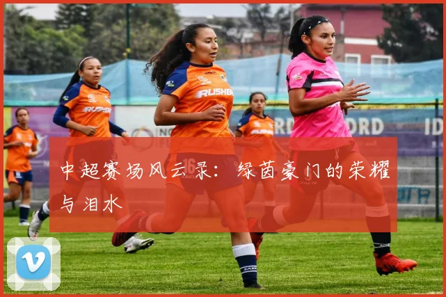 中超赛场风云录：绿茵豪门的荣耀与泪水